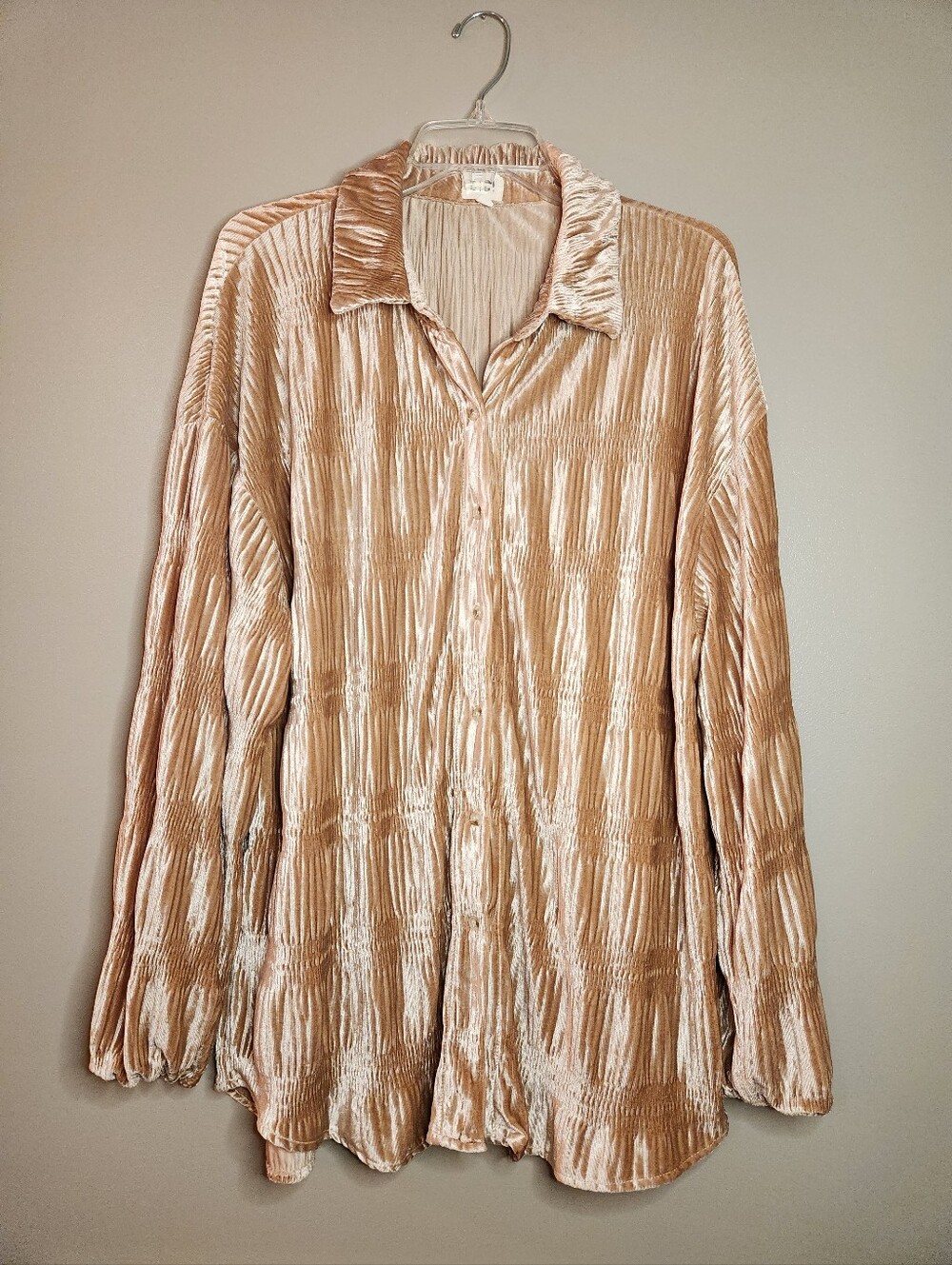Bibi Velvet Button-Up Shirt in Champagne Size: XL